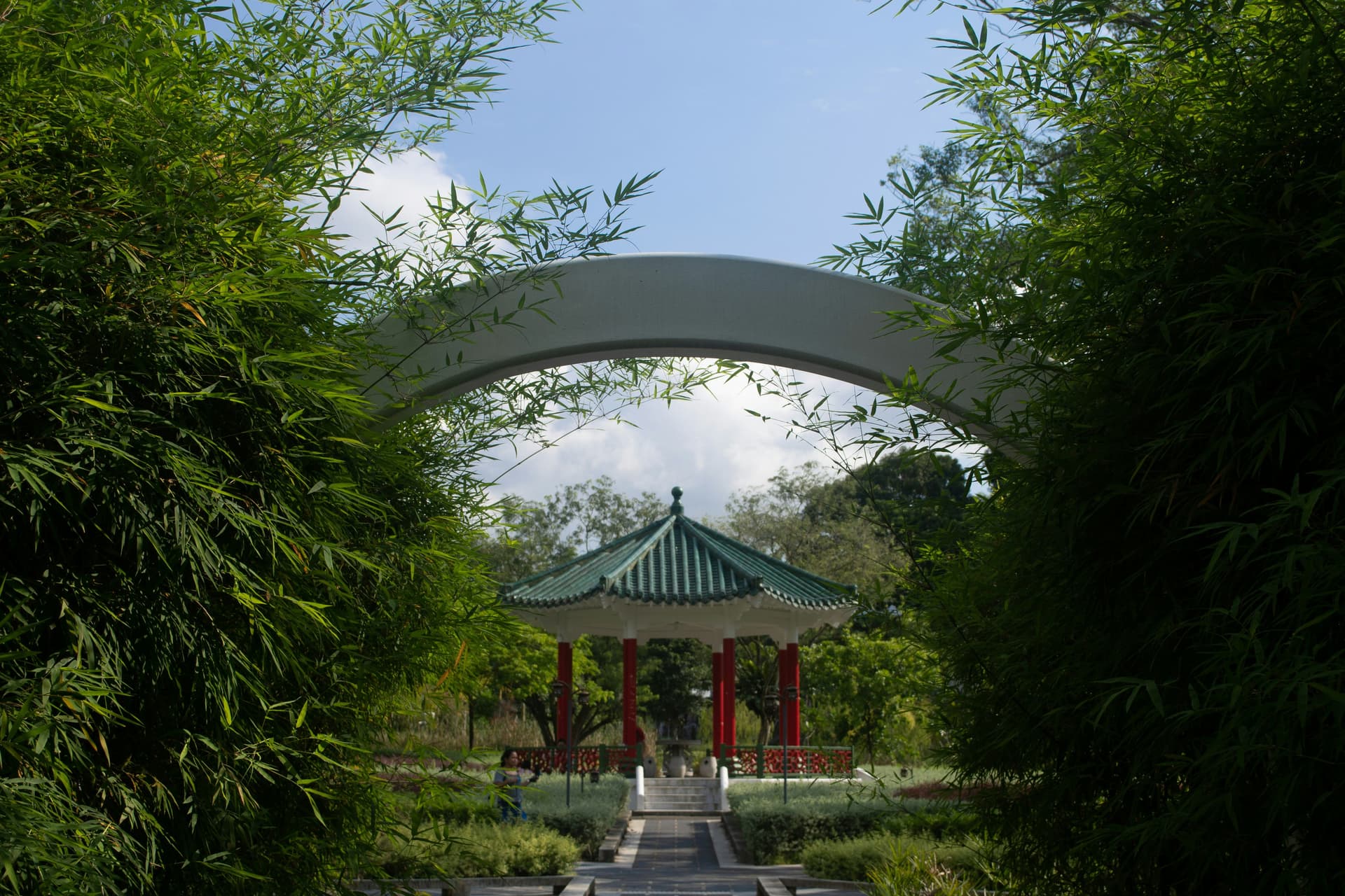 Bamboo Grove and Waterfall at Chinese Garden
