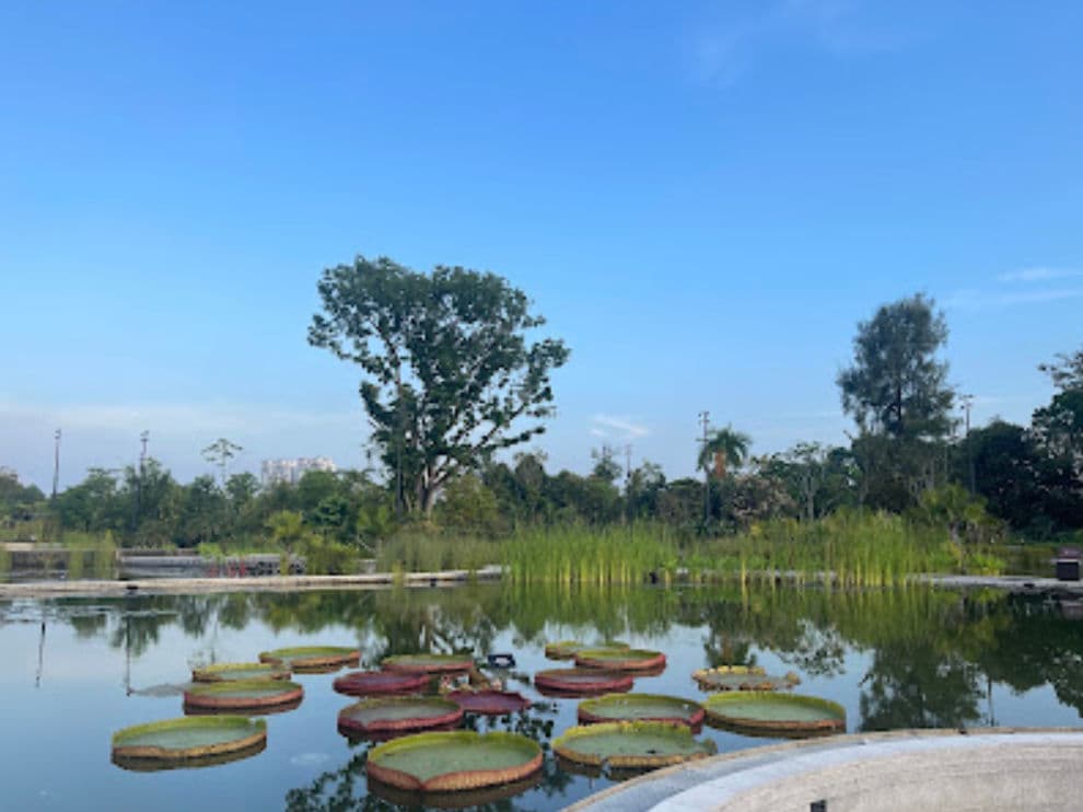 Japanese Garden Water Feature